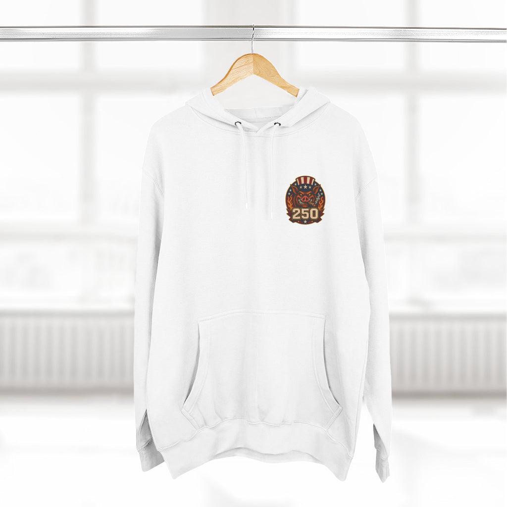 BBQ Test Pit 250 Years of Freedom hoodie mockup