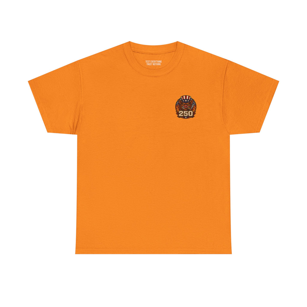 BBQ Test Pit 250 Years of Freedom soft tee mockup