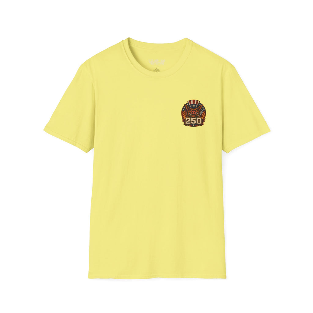 BBQ Test Pit 250 Years of Freedom tee mockup