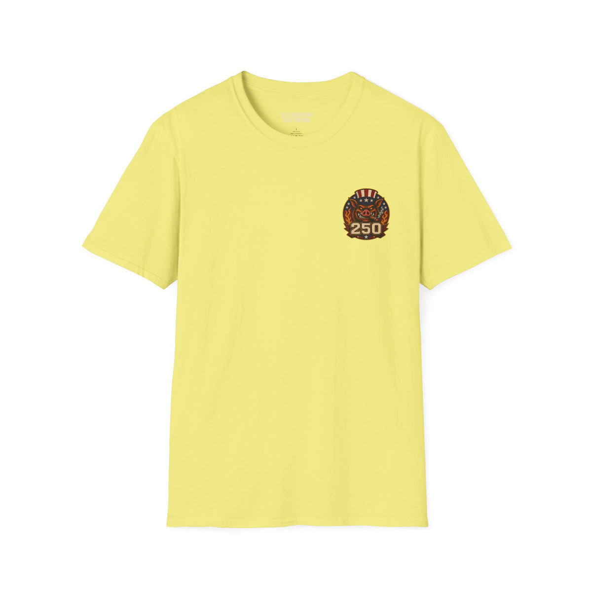 BBQ Test Pit 250 Years of Freedom tee mockup