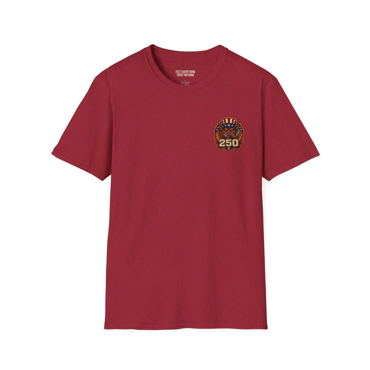 BBQ Test Pit 250 Years of Freedom tee mockup