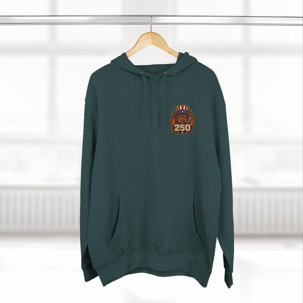 BBQ Test Pit 250 Years of Freedom hoodie mockup